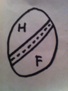 Barbey, déclare qu'il est attiré par les femmes androgynes qui lui ressemblent en cela ... mais ce n'est plus le sens du terme de Platon... Schéma par Marguerite Champeaux-Rousselot